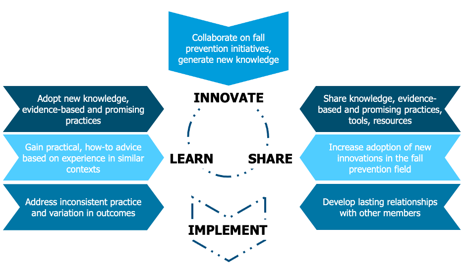Adapted from: Health Quality Ontario. (2017). Improvement Through Collaboration: How to Build and Sustain a Community of Practice.